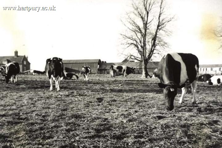 1987 Pupil Wins Farm Apprentice Of The Year