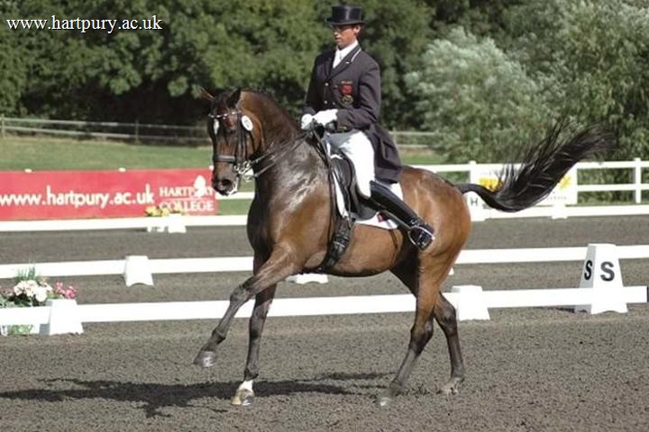 2000 European Young Riders Championships