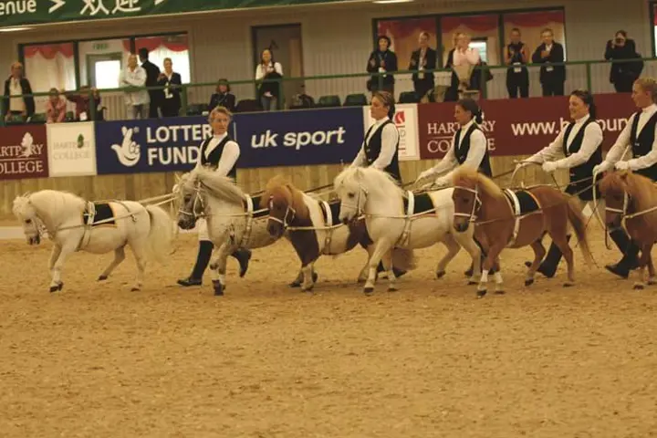 2007 Equine Arena