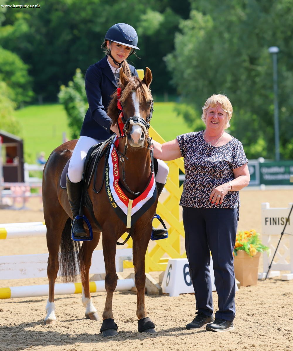 60Cm Winner