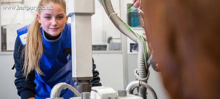 Advanced Equine Veterinary Nursing Diagnostic Imaging And Rehabilitation