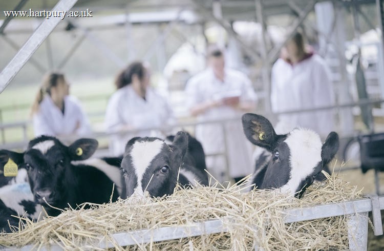 Agri Tech Event3