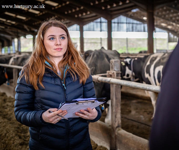 Agriculture Student Holding A Clipboard In Cow Shed