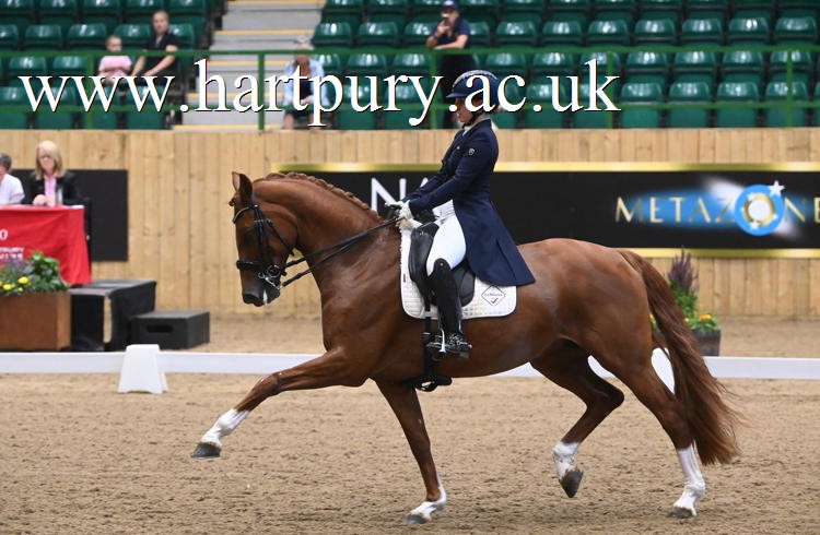 Amy Woodhead Msj Viva Dannebrog Dh Intermediate Dq