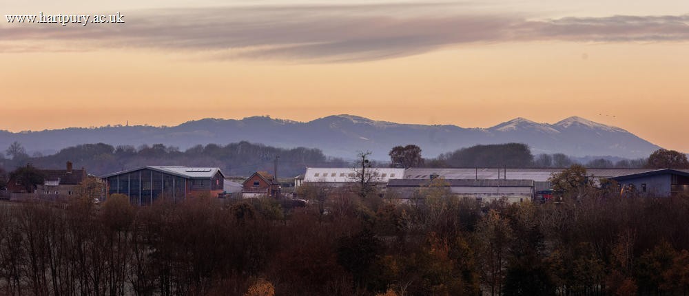 Biodiversity Event Landscape