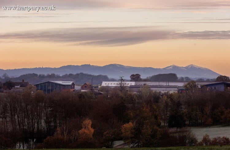 Biodiversity Event Landscape