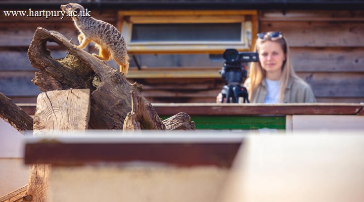 Bsc Hons Animal Training And Performance L6