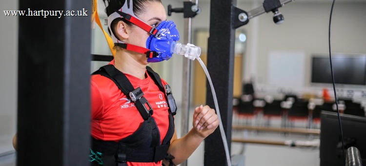 Bsc Hons Sport And Exercise Sciences