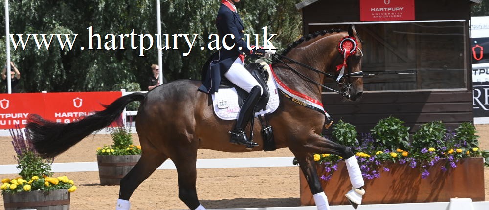 Charlotte Dujardin Brave Heart Cdi3 Gp Special
