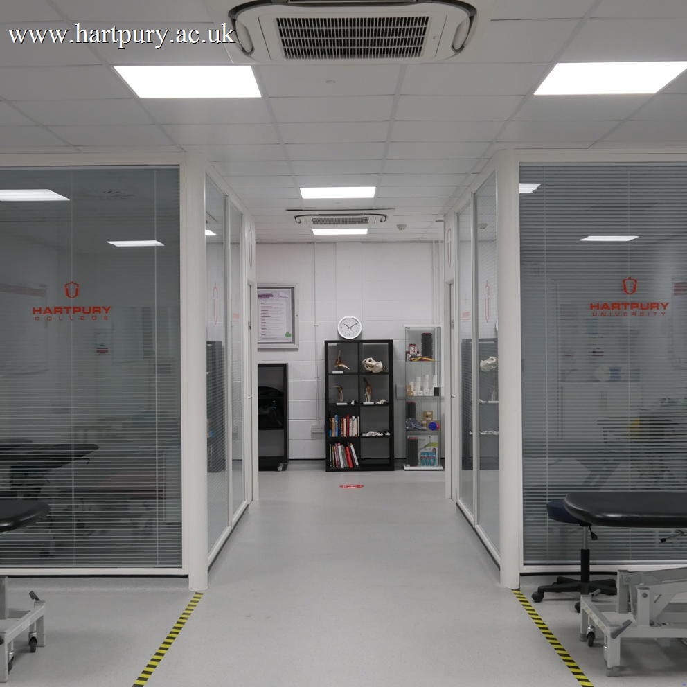 Clinic 2