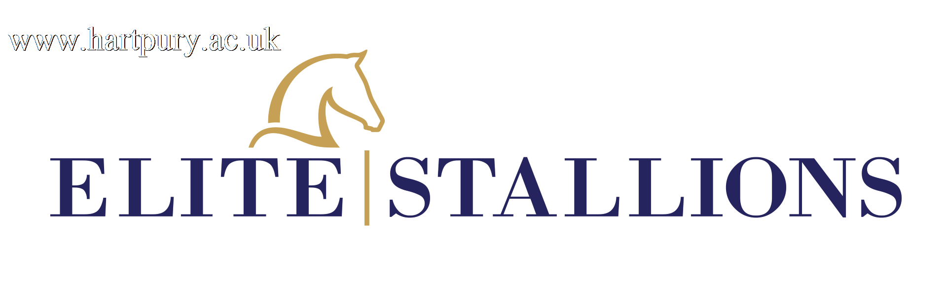 Elite Stallions 2
