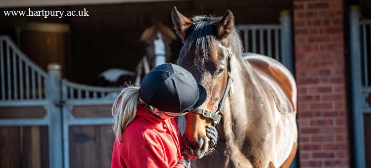 Equine Student On Yard