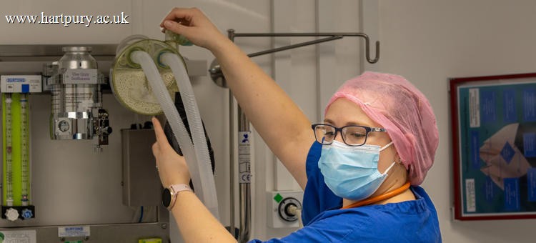 Hannah Smith Working In Veterinary Surgery Anesthetic