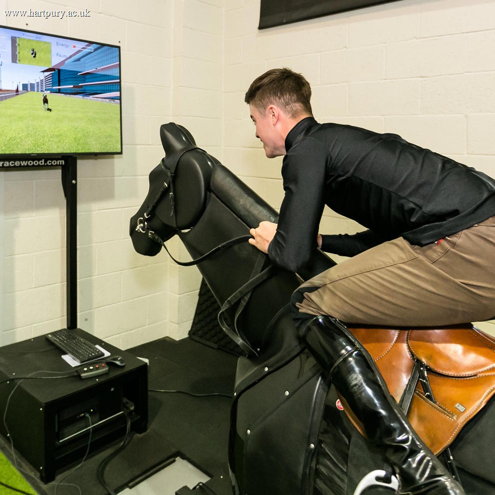 Jockey On Racewood Horse Simulator