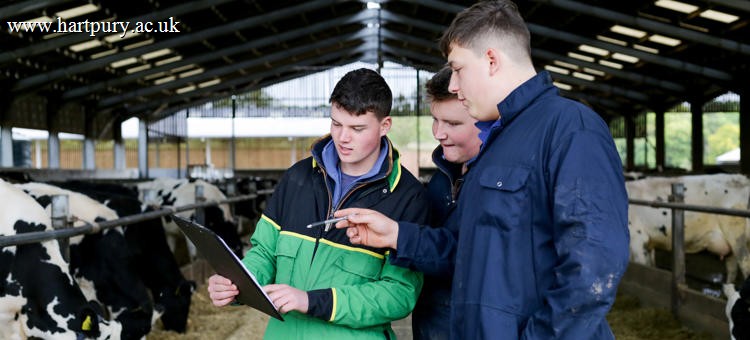Level 2 Diploma Agriculture