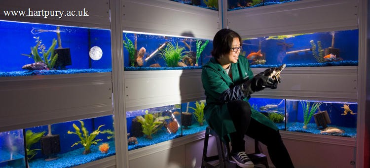 Level 3 Diploma Animal Management