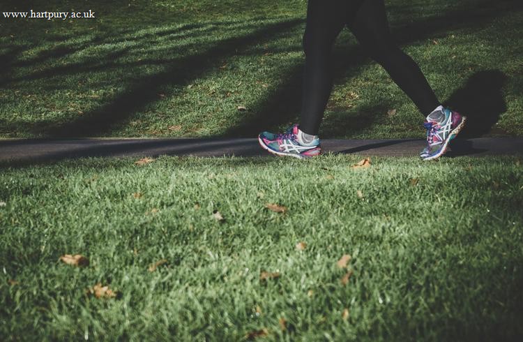Persons Legs Wearing Trainers In Park