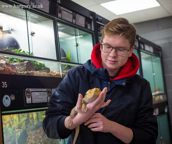 Male Student Holding Reptile