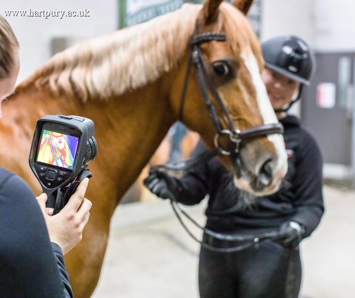 Student Using Thermal Camera On A Horse