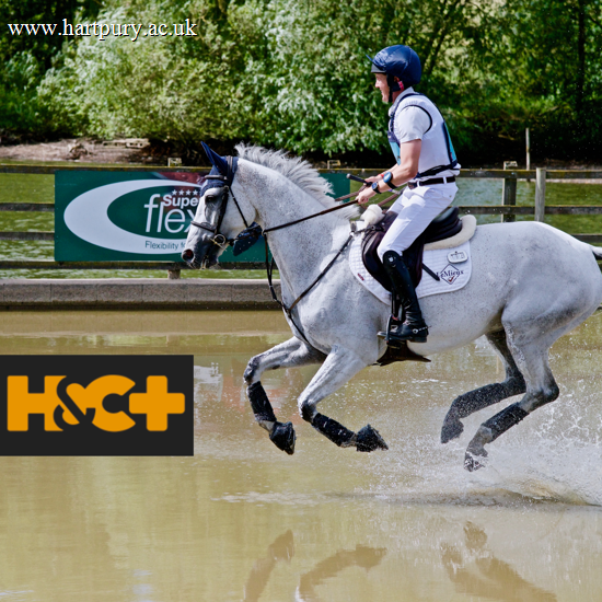 Tom Mcewen Horse