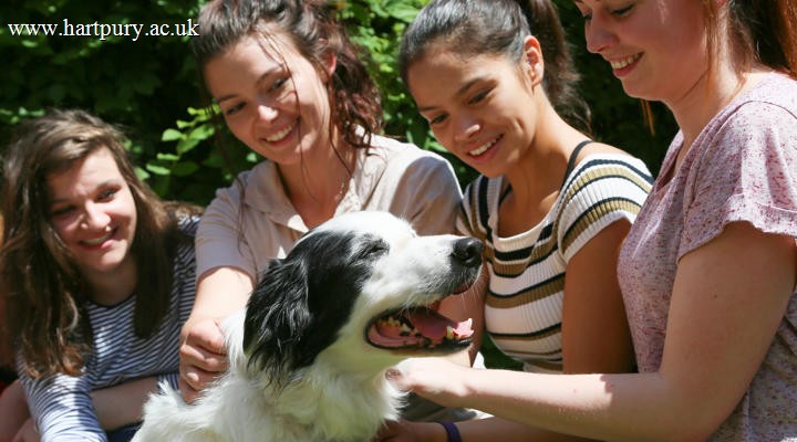 University Animal Students