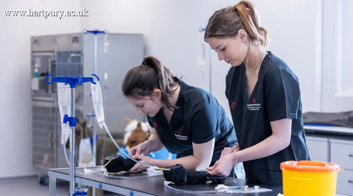 Veterinary Nursing Technical Skills Centre
